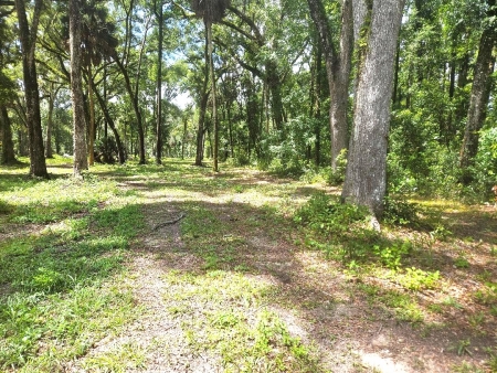 4.82 acres cleared fenced with well and power pole